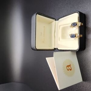 Elegant Gold and Blue Earrings